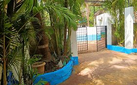 Bulbul Nest